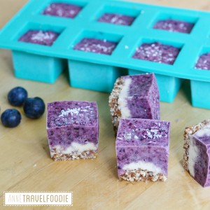 vegan blueberry cheesecake squares