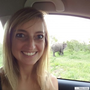 Elephant Selfie at Kruger Park
