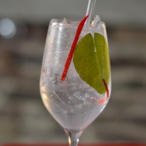 gin tonic limoen blad peper