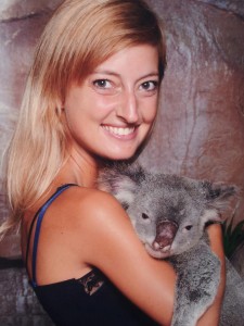koala hugging steve irwin zoo australia