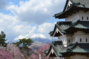 cherry blossom festival hirosaki japan