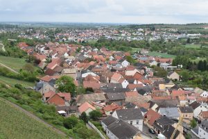 Rheinhessen; biggest wine region of Germany - Anne Travel Foodie