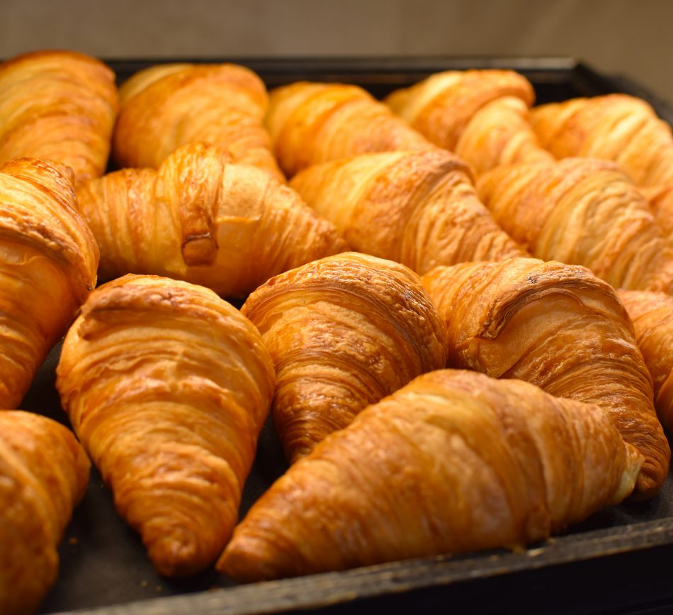 Golden Tulip the Garden; my favorite hotel in Strasbourg Anne Travel