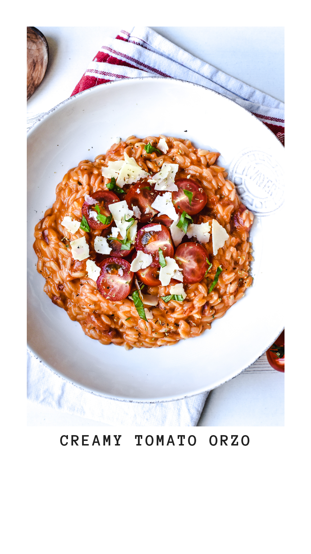 Creamy Tomato Orzo - Anne Travel Foodie