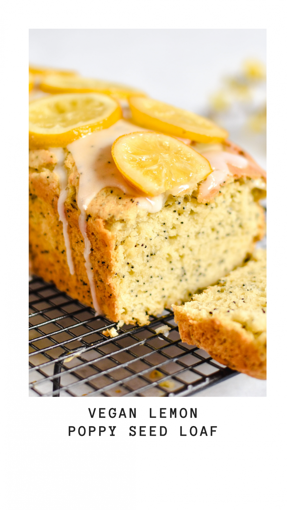 Vegan Lemon Poppy seed Loaf - Anne Travel Foodie