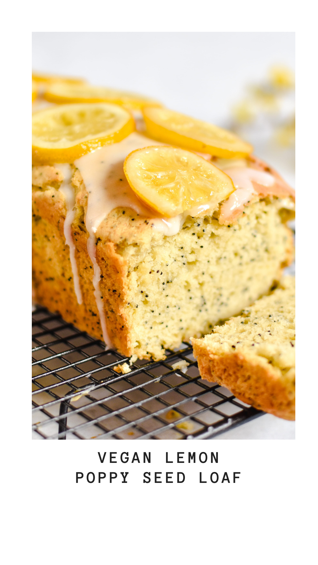 Vegan Lemon Poppy seed Loaf - Anne Travel Foodie