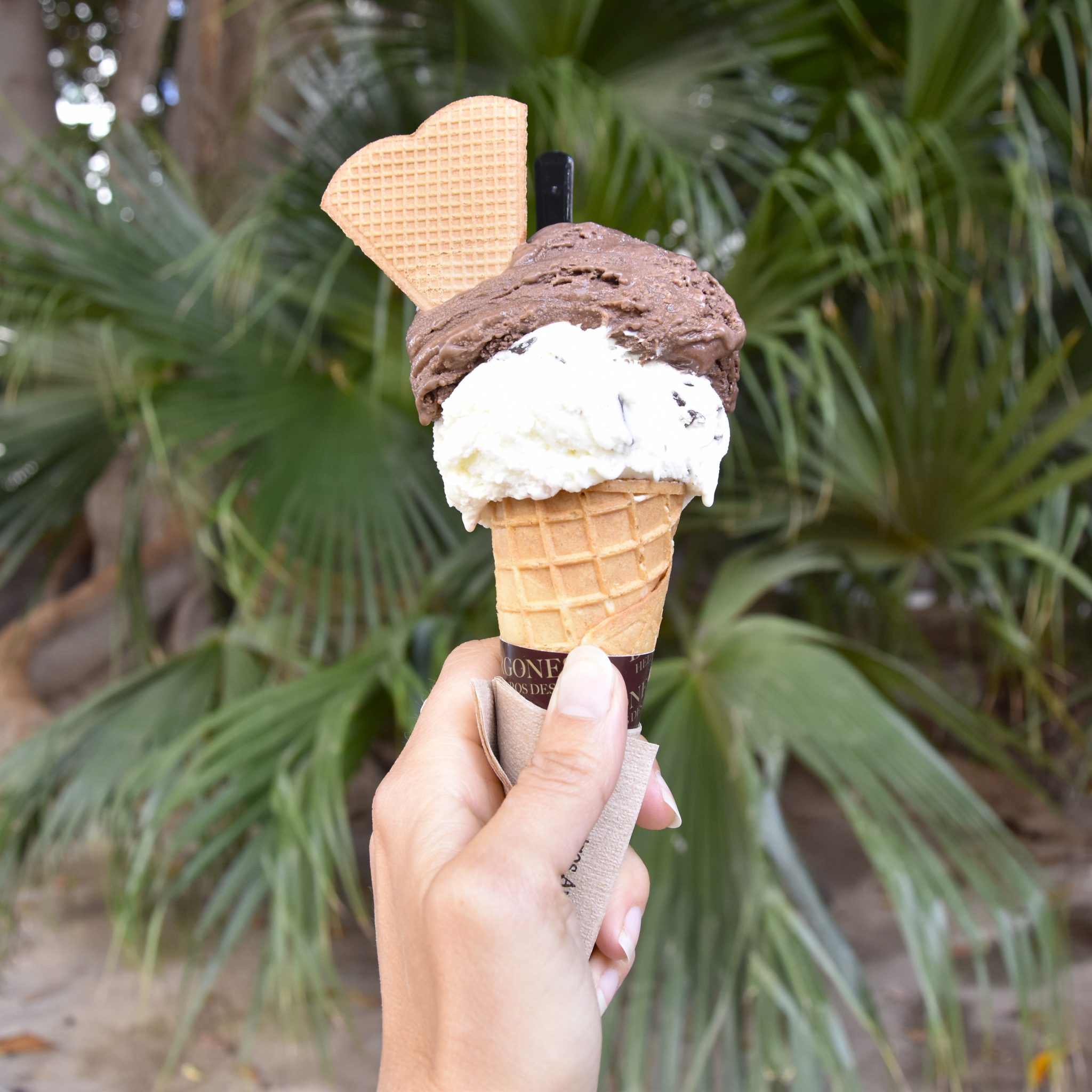 Best Ice Cream Spots in Alicante Anne Travel Foodie